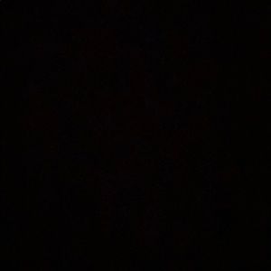 Meet your Posher, Max